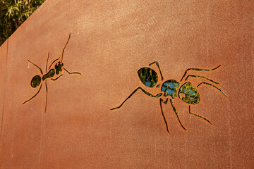 Ants on the corten wall