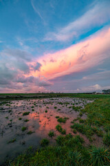 Reflection of pink clouds in a large pool of water in a grassland during sunset.