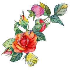 A bright watercolor bouquet of red, yellow and pink roses