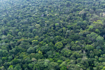 Aerial view of an area of dense amazon rainforest in Brazil, showing only the treetops.