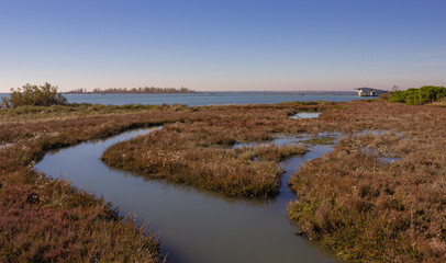 Fototapeta na wymiar Autumn landscape of the Venetian lagoon. Swamp with brackish water and brown withered plants. Porto Caleri, Italy