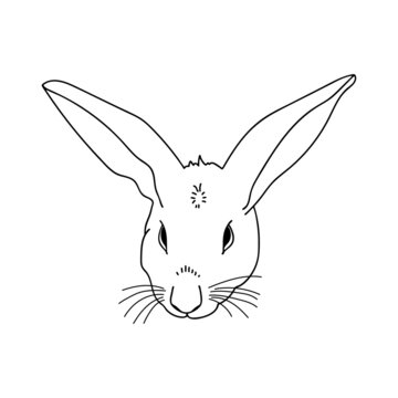 Rabbit thin line art. Home breeding of farm animals. Cute contour bunny. Pet shop logo, food label. Hand drawn realistic vector illustration. Isolated simple doodle element.