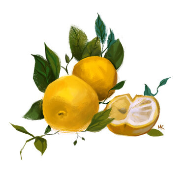 Yuzu Lemon With Leaves