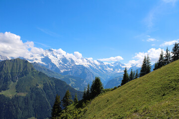 Fototapeta na wymiar Alpenlandschaft Schynige Platte, Schweiz