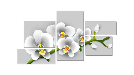 White phalaenopsis orchid close-up polyptych modular paintings. Vector illustration for interior design, other. 