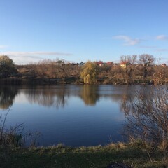 autumn in the park