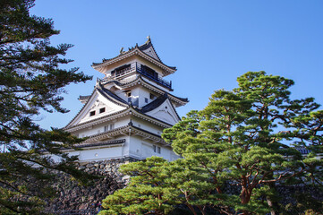 Fototapeta premium 高知城 天守
