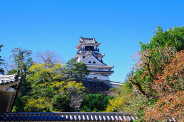 Fototapeta premium 高知城 天守