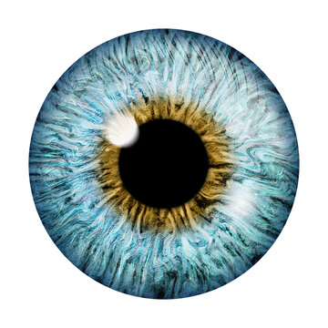 Realistic image of an eye. Iris, cornea, retina with luminous flash. Light blue eye. 3d illustration