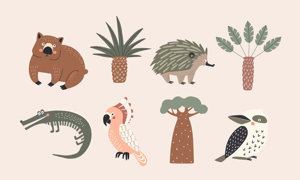 Set Of Vector Isolated Illustrations Of Australian Trees And Animals