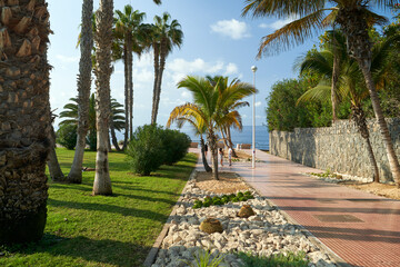 Obraz premium Park promenade in La Caleta, Costa Adeje, Tenerife.