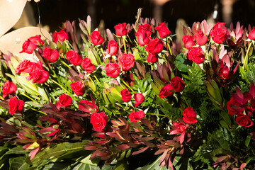 Beautiful red roses, Antigua, Guatemala