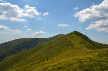 Borzhava mountain range with steep slopes overgrown with blueberry bushes under a blue sky with clouds on a sunny summer day. Carpathian Mountains, Ukraine