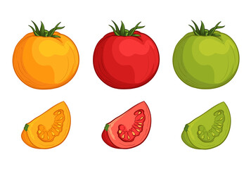Colorful tomatoes. Vector illustration of vegetables in cartoon style.