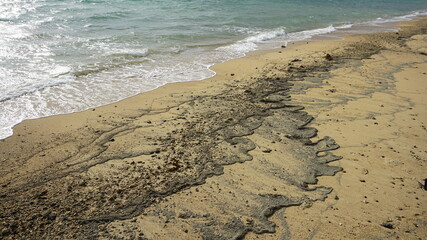 軽石、沖縄の海に漂着