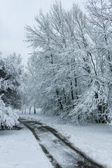 Winter landscape of South Park in city of Sofia, Bulgaria