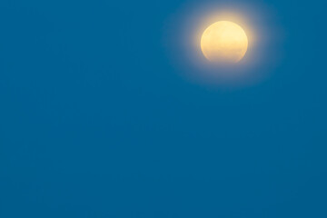 Lunar eclipse over tauranga sky