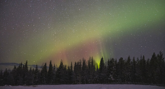 Northern Lights Over Snowy Forest In Lapland