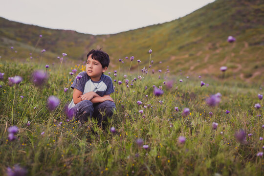 Young boy sitting on a field of wild flowers in the Spring.