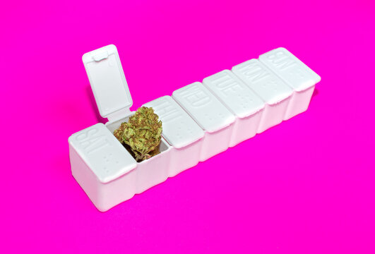 White pillbox divided by days of the week full of marijuana on pink background. Concept of medical cannabis or alternative medicine.