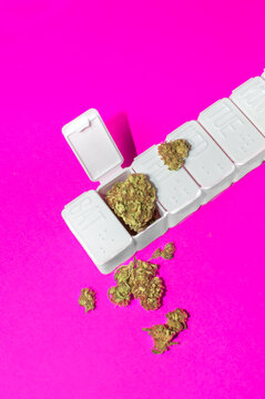 Medical cannabis: pillbox full of cannabis buds on pink background.