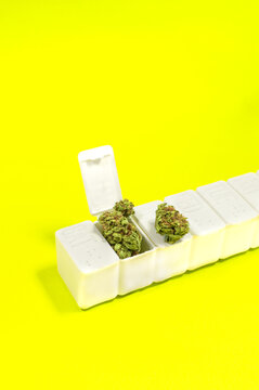 Pillbox full of medical cannabis on yellow background with copy space top. Concept of medical marijuana.