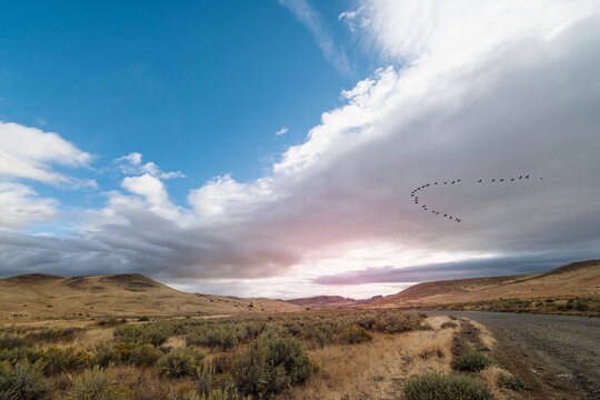 Leslie Gulch Landscape with Clouds