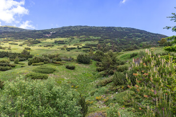 Landscape of Rila mountain near Belmeken Dam, Bulgaria