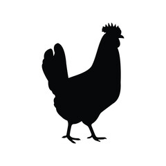 chicken silhouette icon