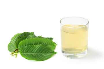 Closeup glass of Mitragyna speciosa Korth tea (Kratom) with fresh green leaves isolated on white background, health care and medical concept