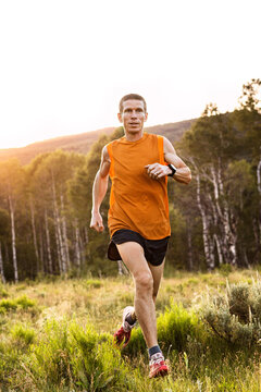 A man trail runs through a grassy field and aspen grove at sunset