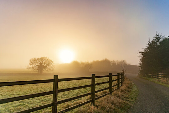 Foggy morning in a farm in english countryside at sunrise with trees