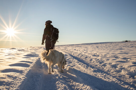 man with dog trekking in winter snow