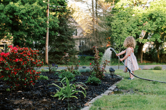 Little Toddler Girl In Summer Dress Watering Blooming Garden In Spring