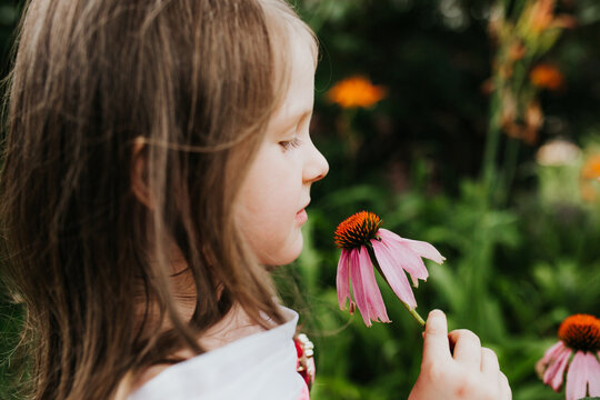 Young girl smelling a freshly picked cone flower from her garden.