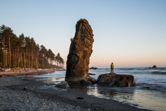 A highlight of the Olympic National Park is Ruby Beach. Tourists enjoy the rugged coast and cold water.