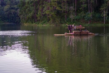 Fototapeta premium boat on the river