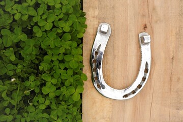 Saint Patrick background. horseshoe on a wooden board in green clover.St.Patrick 's Day.Irish...