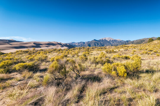 Desert Landscape in Sand Dunes National Park, Colorado