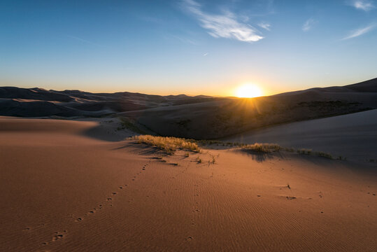 Desert Landscape with sunset, Colorado