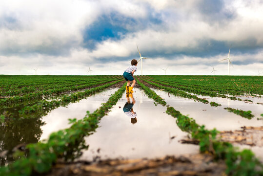 A boy squatting to look at flood waters in a soybean field wind farm