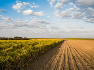 Harvesting sugarcane as part of biofuels production in Brazil