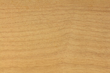 Obraz premium Alder (Alnus) wood texture. High resolution, Sharp to the corners. A wood commonly used for Electric guitar bodies and furniture.