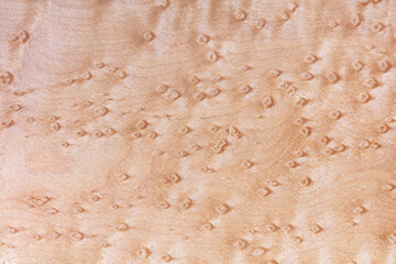 Birdseye Maple wood texture (A. saccharum) High resolution, Sharp to the corners. Unfinished.