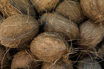 Fresh coconuts on the counter of the store.