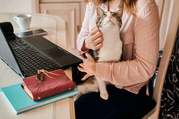 Young woman pets her cat while she is working from home