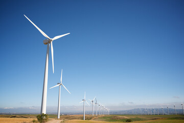 Windmills for renewable electric energy production in Spain.