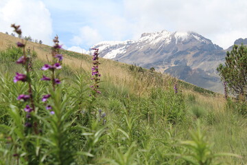 landscape with sky