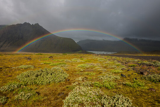 rainbow over meadow in south Iceland