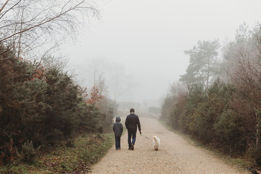 Rear view of father and son walking dog along gravel path in fog